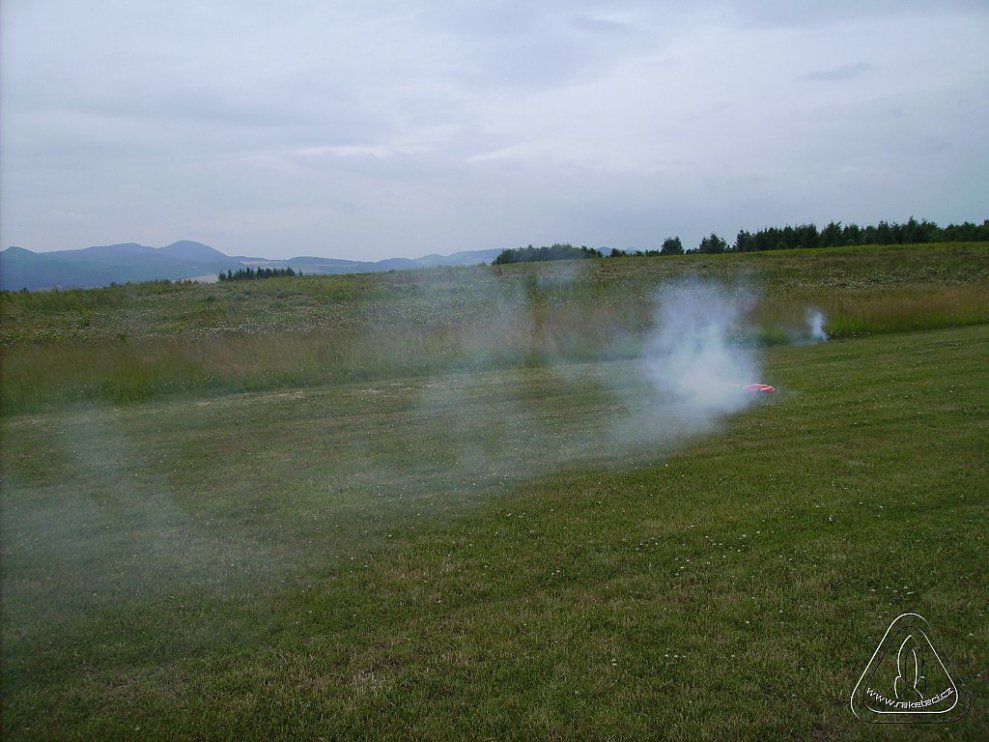 2013 Suche 29062013 Olivera